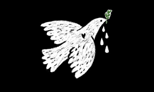 We demand an immediate end to military actions