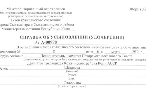 В Коми выдана справка об удочерении, открывающая доступ к архивам